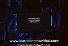 Google AI Studio Internal Error